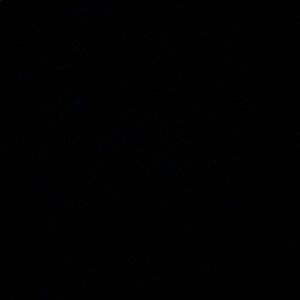 Meet your Posher, Jack